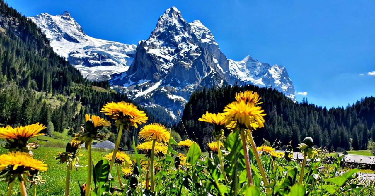 Churchstreet Appartements Meiringen Bagian luar foto